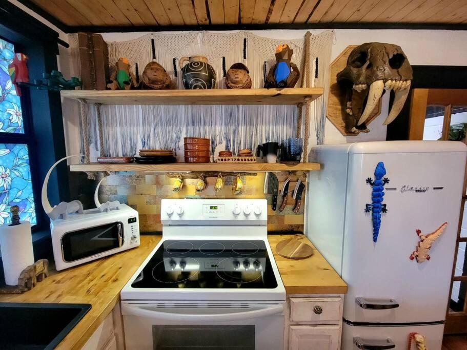 Cozy Af Jungle-House Hideaway Villa Tampa Exterior photo