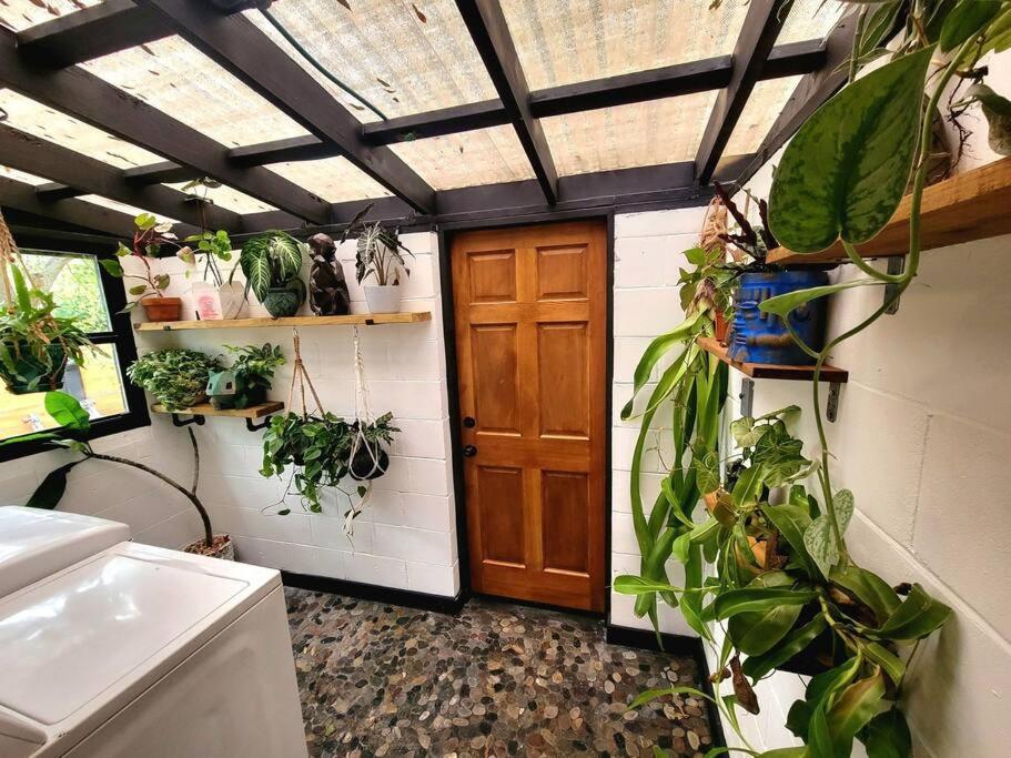 Cozy Af Jungle-House Hideaway Villa Tampa Exterior photo