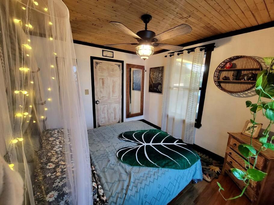 Cozy Af Jungle-House Hideaway Villa Tampa Exterior photo